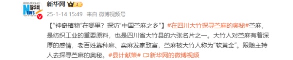 “神奇植物”在哪里？探访“中国苎麻之乡”